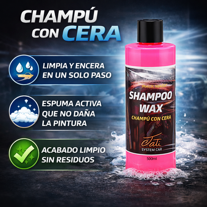 lavado coche con cera carnauba para proteger la pintura